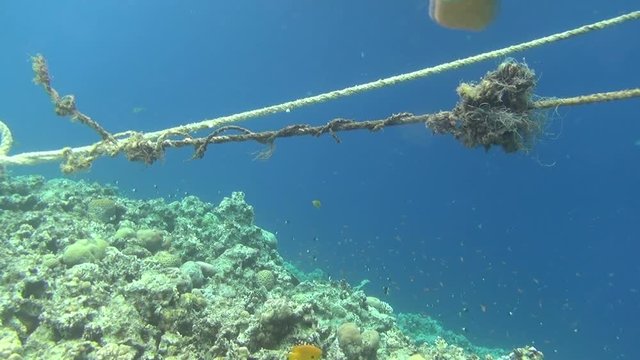 ropes on reef dahab