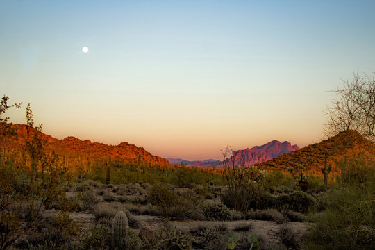 Sun Setting over the Sonora Desert