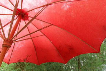 under the red beach umbrella