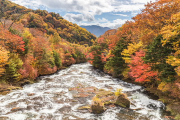 Fototapeta na wymiar Ryuzu fall at Nikko national park in autumn