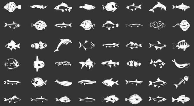 Fish icon set vector white isolated on grey background 