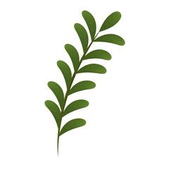 Leaf branch natural icon vector illustration design