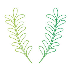 Leaf branch natural icon vector illustration design