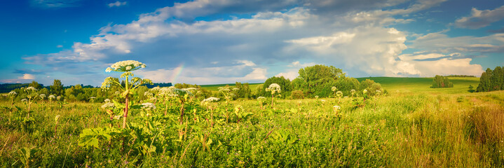 Fototapeta na wymiar Rural landscape. Heraclium on the foreground. Panorama