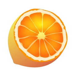 Lemon vector illustration.