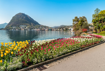 Landscape with Lake Lugano and colorful tulips in bloom from Ciani Park in springtime, Switzerland