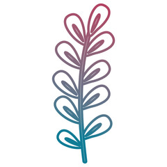 branch with leafs decorative icon vector illustration design