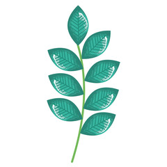 branch with leafs decorative icon vector illustration design