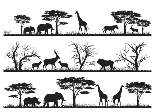 Animals forest silhouette at savanah