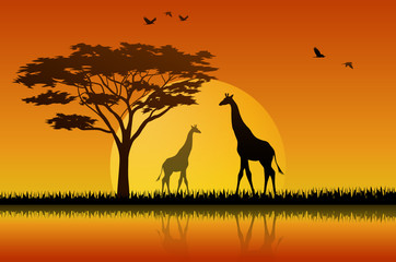 Fototapeta na wymiar Silhouette giraffe at lake of savanah 