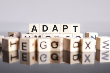 ADAPT word cube on reflection