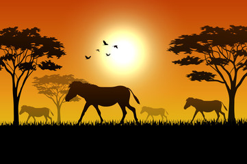 Naklejka na ściany i meble Silhouette of horse at savanah 