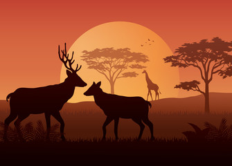 Fototapeta na wymiar Silhouette animals on evening at savanah
