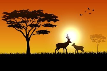 Silhouette  of deer at savanah 