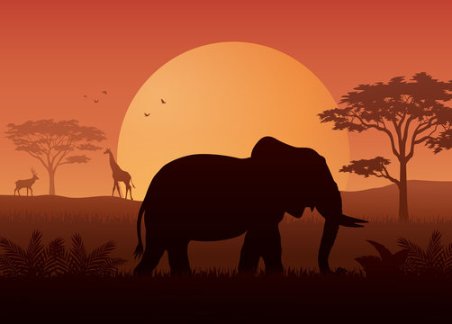 Silhouette animals on evening at savanah