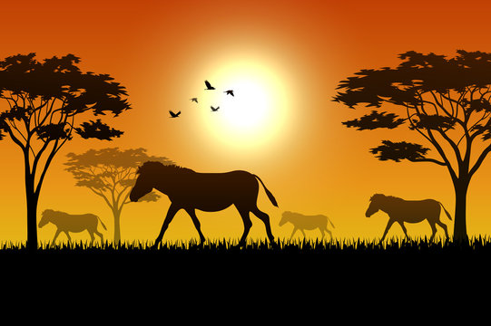 Silhouette  of horse at savanah 