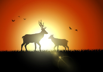Silhouette deer and bird in sunset