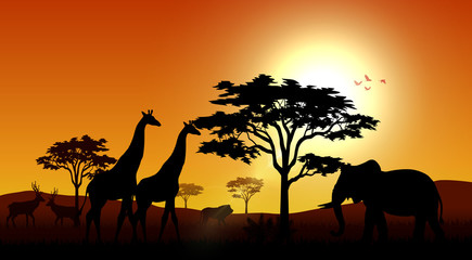 Obraz na płótnie Canvas Silhouette animals savannas in the afternoon