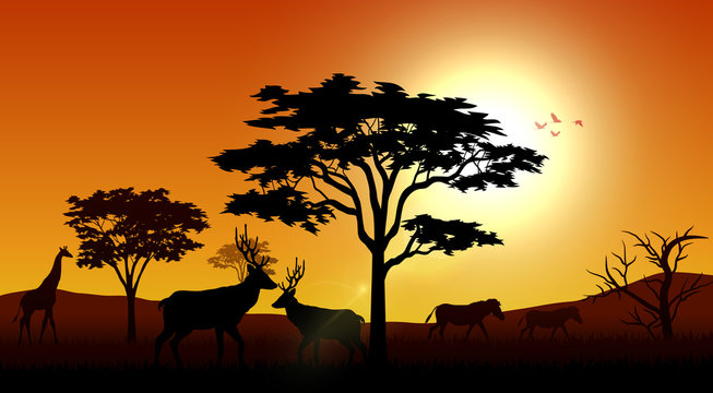 Silhouette animals savannas in the afternoon