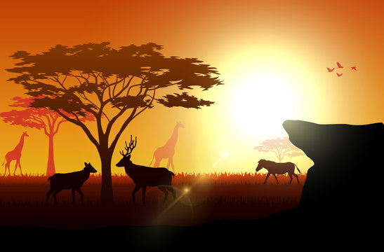 Silhouette animals on savannas in the afternoon