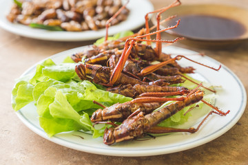 Close up of Fried insects in dish with sauce on wooden table.