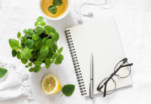 Morning planning inspiration and melissa lemon green tea. Blank notepad, cup of tea, melissa flower pot on a white background, top view. Flat lay