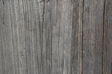 Old wood texture. Abstract background with natural wood pattern. Close-up.