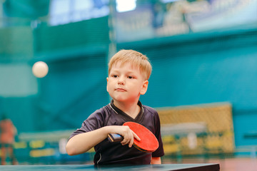 table tennis game, boy playing tennis ball in the tennis hall - obrazy, fototapety, plakaty