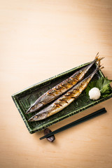 秋刀魚

