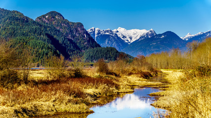 Plakaty  Pokryte śniegiem szczyty gór Coast Mountains otaczające rzekę Pitt i jezioro Pitt w dolinie Fraser w Kolumbii Brytyjskiej w Kanadzie w pogodny zimowy dzień