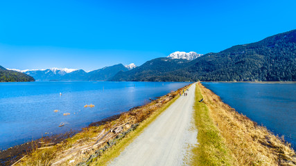 The dyke separating Pitt Lake and Pitt-Addington Marsh surrounded by the Snow Capped Peaks of the Coast Mountain Range in the Fraser Valley of British Columbia, Canada