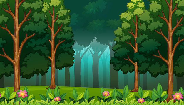 Dark Rainforest with Big Trees Landscape