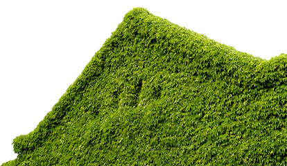 Creative park with green roof triangle angle