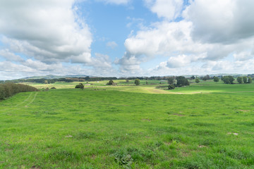 Fototapeta na wymiar New Zealand dairy farm landscape