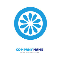 kiwi company logo design