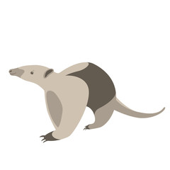  anteater  vector illustration flat style  profile side