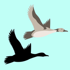 goose  vector illustration flat style  black silhouette