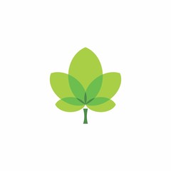 geometric leaf logo for enviroment