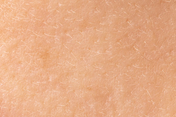 White human skin as a background