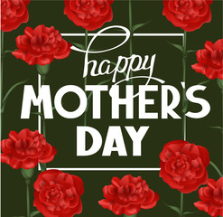 Mother's Day banner  with red carnations. Vector illustration