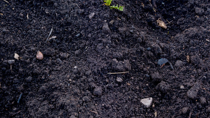 Fototapeta premium Ground Texture. Top View of a Dark Ground Surface. Close Up Macro View of Dirt and Stones. Soil Background with Text Space.