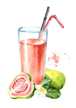 Glass of guava Juice with fresh guava fruits. Watercolor hand drawn illustration, isolated on white background