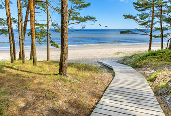 Fototapeta na wymiar Coastal landscape with pine trees, sand dunes and footpath to the sandy beach, Baltic Seat. In the Baltic countries tourism is mostly targeted at a human health maintenance . 