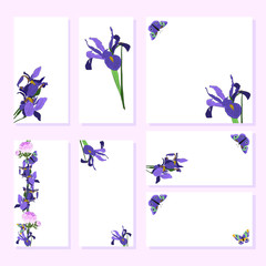 Hand drawn vector set illustration irises, butterfly with visit cards and greeting templates