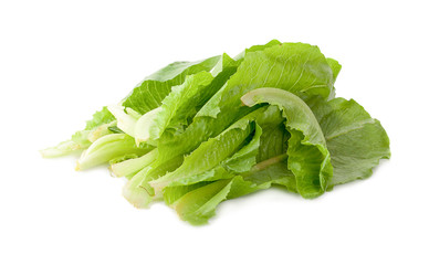 Salad mix with rucola, frisee, radicchio and lamb's lettuce. Isolated on white background.