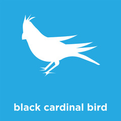 black cardinal bird icon isolated on blue background