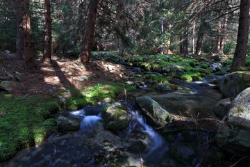 ​Eco-trail Beli Iskar / Rila mountain Bulgaria
