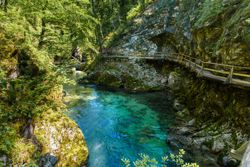 Vintgar Gorge. Slovenia