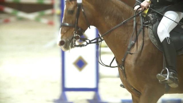 Man rider on stallion jumping over hurdle at show jumping competition, slow-motion