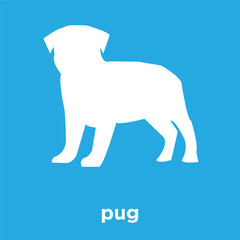 pug icon isolated on blue background
